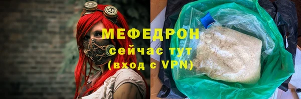 хмурый Аркадак