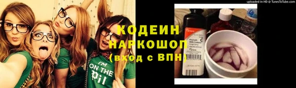 хмурый Аркадак