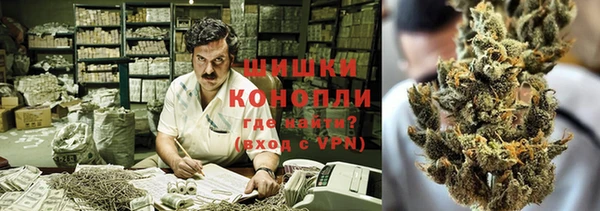 прущий лед Новозыбков