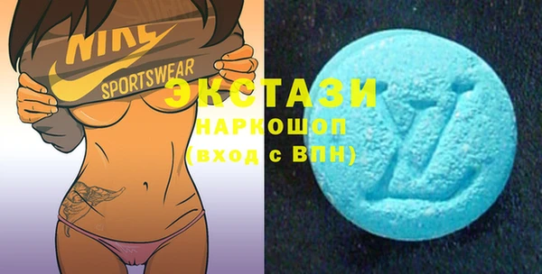 хмурый Аркадак