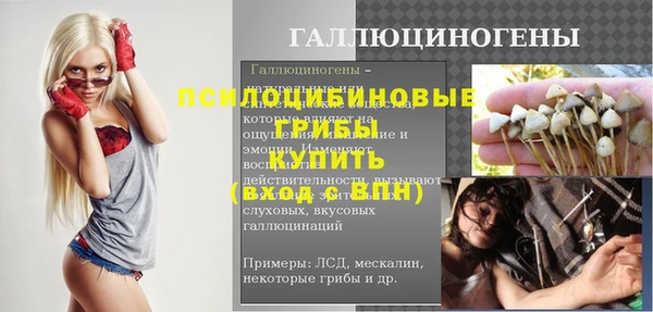 дживик Алексин