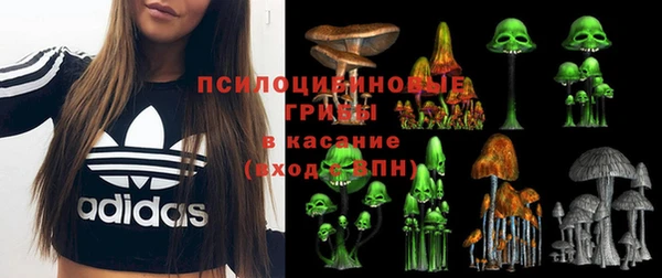 дживик Алексин