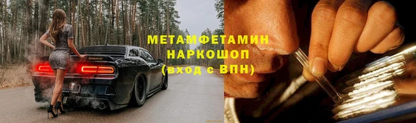хмурый Аркадак